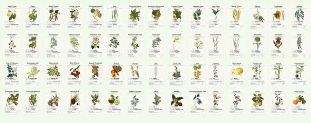 Design Agroforestry: des outils pour régénérer